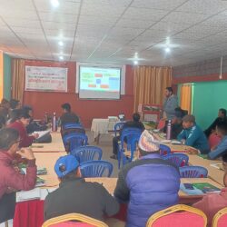 दार्चुलामा ९७ प्रतिशत किशोरीले लगाए एचपिभी खोप