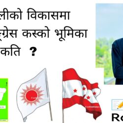 महाकालीको विकासका लागि कसको भूमिका कति ?