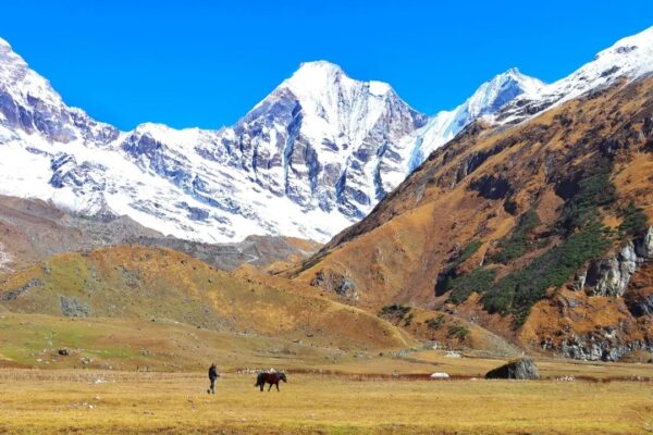 अपिहिमाल बेसक्याम्पमा योग ध्यान शिविर सञ्चालन गरिने