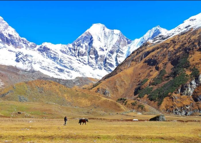 अपिहिमाल बेसक्याम्पमा योग ध्यान शिविर सञ्चालन गरिने