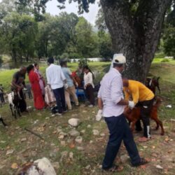 मालिकार्जुन गाउँपालिका–६ मा ४७० बाख्राको शिविरमार्फत औषधोपचार