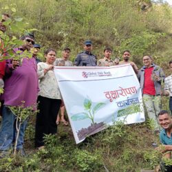 विश्व वातावरण दिवसमा ग्लोबल आईएमई बैंक दार्चुलाको वृक्षरोपण कार्यक्रम