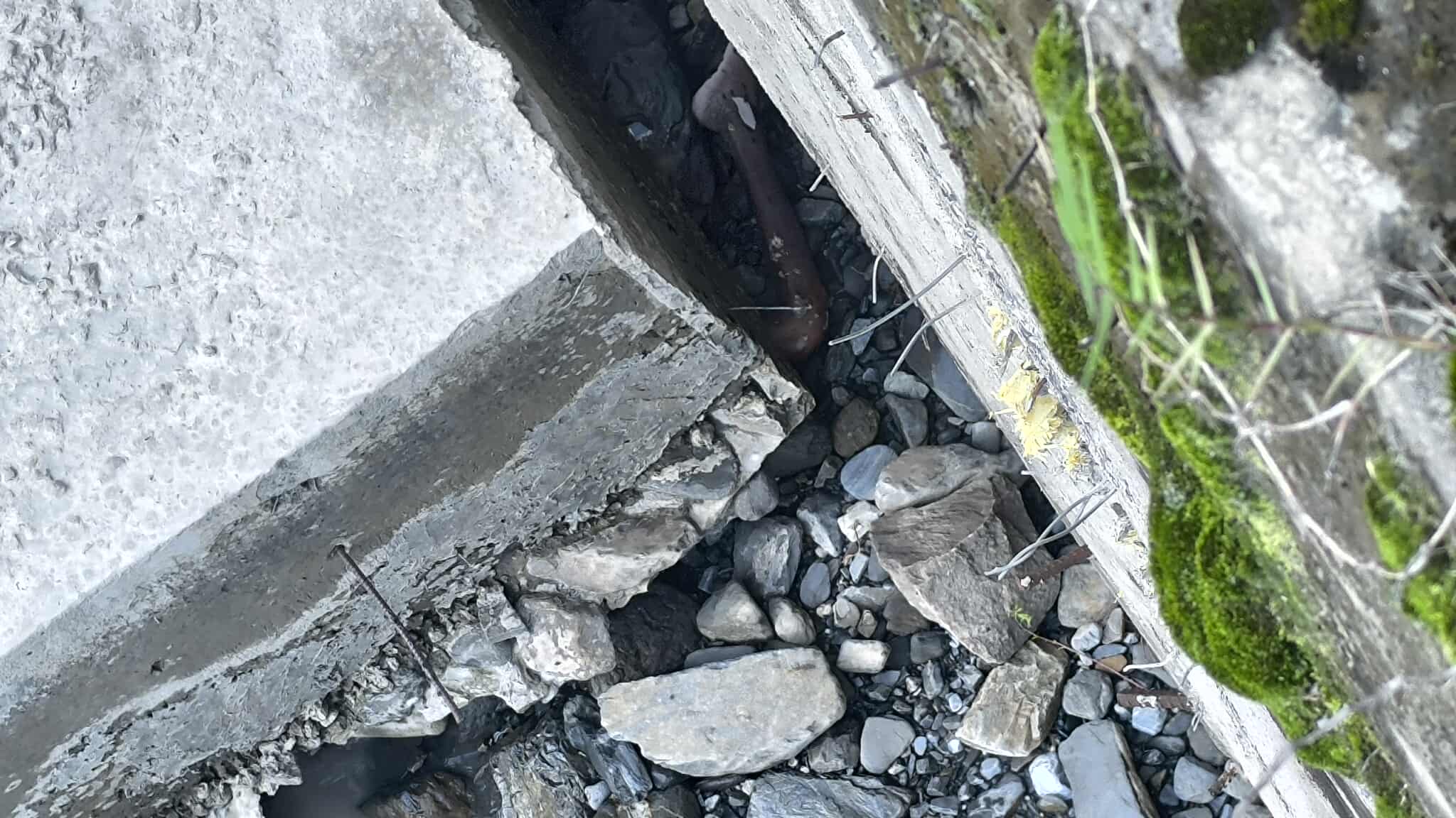 दार्चुलामा बेवारिसे शव फेला