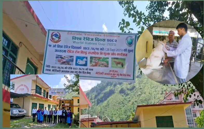 दार्चुलामा रेविजविरुद्धको निःशुल्क खोप लगाइदै