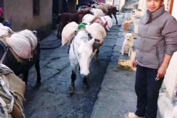 दुम्लिङ, राप्लातिर खाद्यान्नको चामल ढुवानी