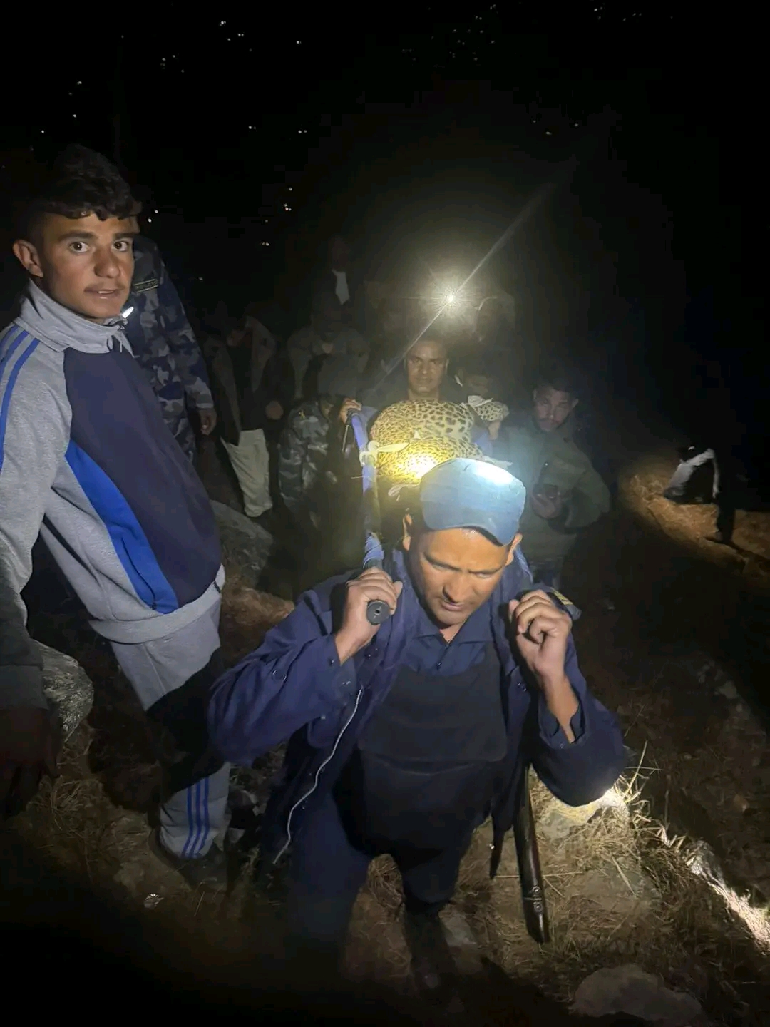 दार्चुलामा पासोमा फसेको चितुवाको उद्धार