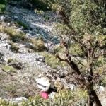 दार्चुलामा जीप दुर्घटनामा दुई जनाको मृत्यु, चार घाइते