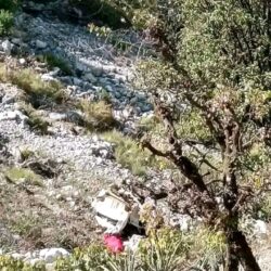 दार्चुलामा जीप दुर्घटनामा दुई जनाको मृत्यु, चार घाइते