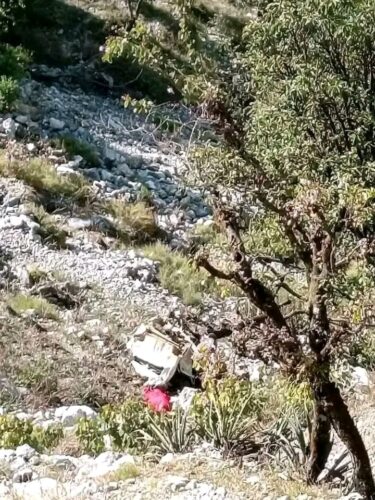 दार्चुलामा जीप दुर्घटनामा दुई जनाको मृत्यु, चार घाइते