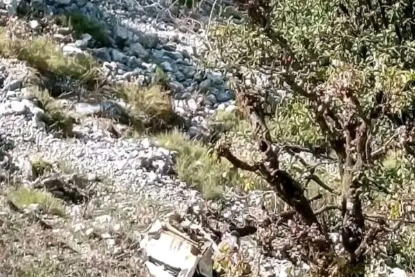 दार्चुलामा जीप दुर्घटनामा दुई जनाको मृत्यु, चार घाइते दार्चुलामा जीप दुर्घटनामा दुई जनाको मृत्यु, चार घाइते