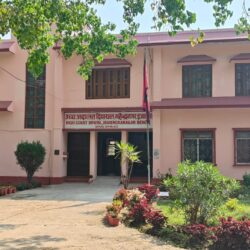 आत्महत्या दुरुत्साहनका आरोपीलाई धरौटिमा छोड्न उच्चको आदेश